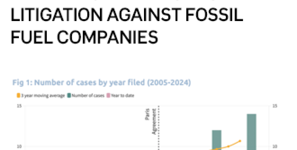 Big oil in court