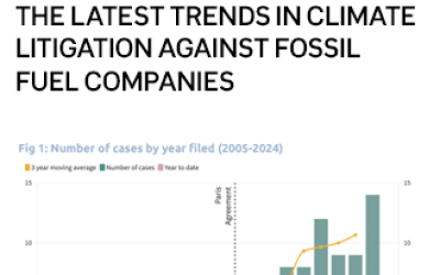 Big oil in court